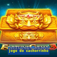 jogo do cachorrinho que ganha dinheiro